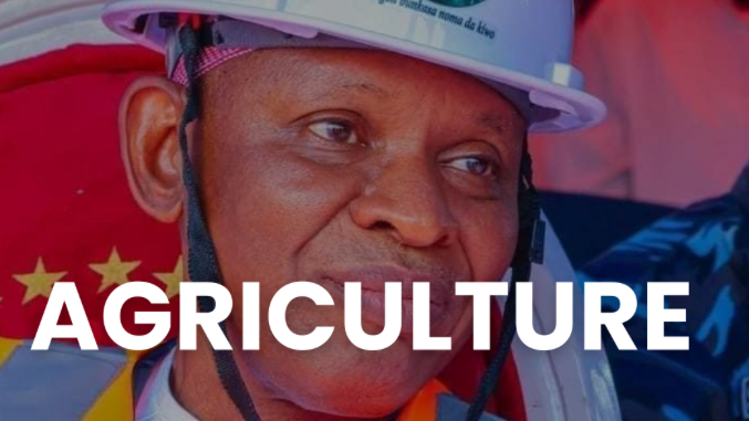 PROVISION OF 555ha AT KAFINCHIRI DAM IN GARKO LGA